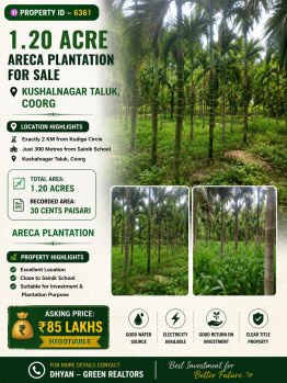 1.20 acres areca plantation for sale near kushalanagara