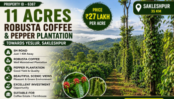 11 acres robusta coeffe and pepper plantation for sale