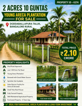 2 acres 10 guntas young areca plantation for sale near doddaballapura