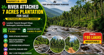 7 acres plantation for sale near dakshina kannada