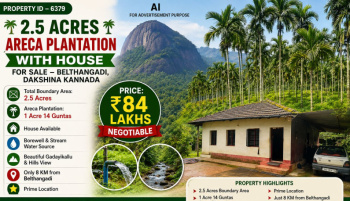 2.5 acres areca plantation for sale dakshina kannada