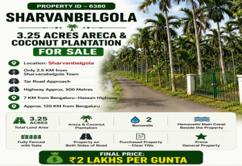 3.25 acres areca and coconut plantation for sale