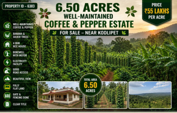 6.50 acres well maintained coeffe estate for sale near kodlipete