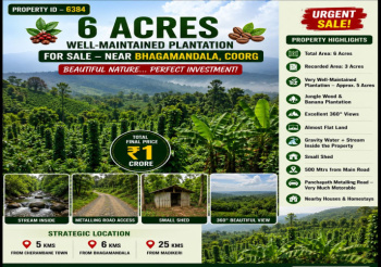6 acres well maintained plantation for sale near coorg
