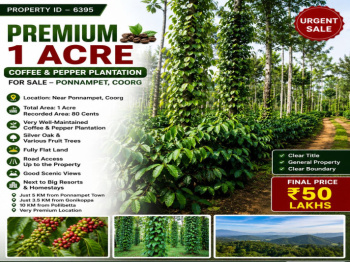 premium 1 acres coeffe and pepper plantation for sale ponnampete coorg