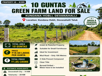 10 guntas green farm land for sale near devanahalli