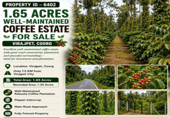 1.65 acres well maintained coeffe esatate for sale near virajpete coorg