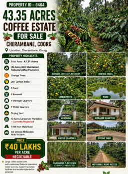 43.5 acres coeffe estate for sale near coorg