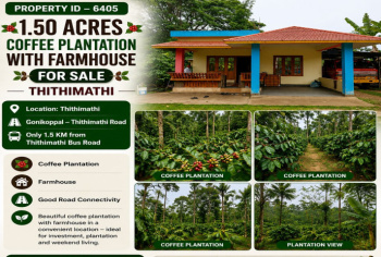 1.50 acres coeffe plantation for sale THITHIMATHI