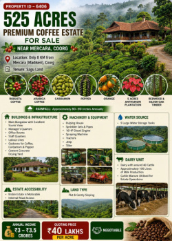 525 acres premium coeffe estate for sale near coorg