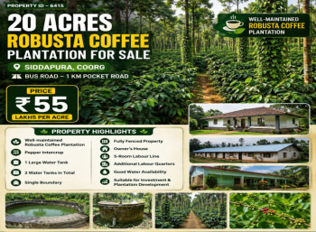 20 acres well maintained robusta coeffe for sale