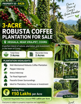 3 acres robusta coeffe plantation for sale