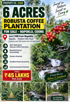6 acres robusta coeffe plantation for sale