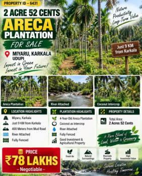 2.52 acres areca plantation for sale