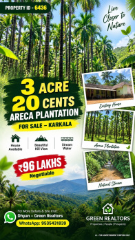 3.20 acres areca plantation for sale
