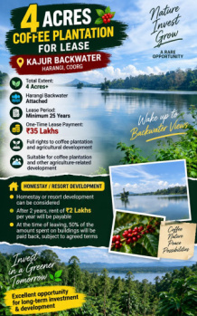 4 acres coeffe plantation for sale