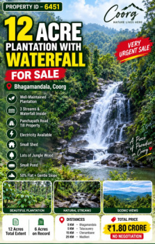 12 ACRES WELL MAINTAINED PLANTATION FOR SALE