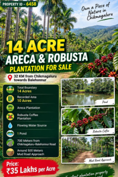14 acres areca and robusta plantation for sale