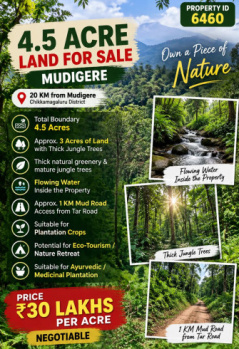 Agricultural/Farm Land for Sale in Mudigere, Chikmagalur (4 Acre)