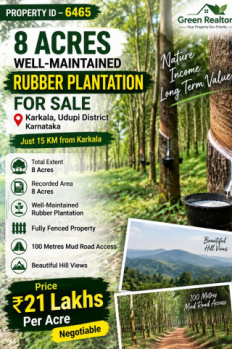 8 acres well maintained rubber plantation for sale