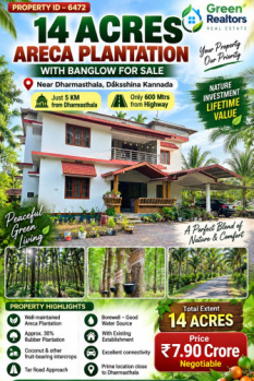 14 acres well maintained areca plantation for sale