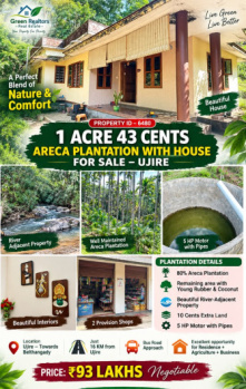 1 acres 43 cents areca plantation for sale
