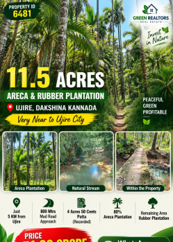 11.5 acres areca rubber plantation for sale