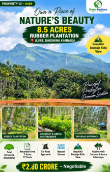 8.5 acres rubber plantation for sale