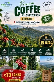 19 acres well maintained coeffe estate for sale