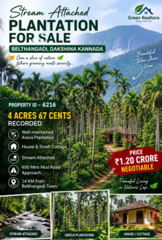 4.67 acres areca plantation with house for sale