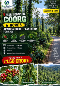 6 acres arabica coeffe plantation for sale