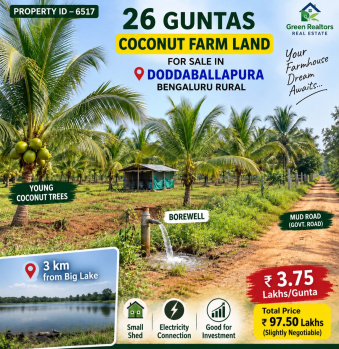 26 guntas coconut plantation for sale