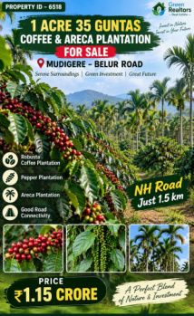1.35 acres guntas coeffe and areca plantation for sale