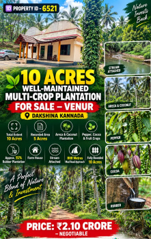 10 acres well maintained plantation for sale