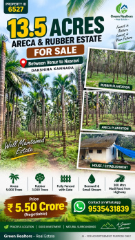 13.5 acres well maintained areca and rubber plantation for sale