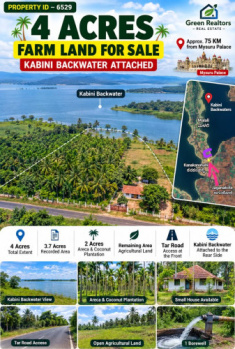 Agricultural/Farm Land for Sale in Krishnarajanagar, Mysore (4 Acre)