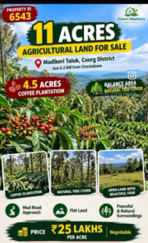 11 acres agricultural land for sale