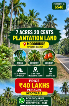 7. 20 acres plantation land for sale