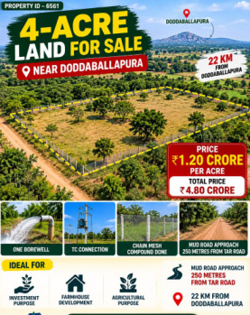 Agricultural/Farm Land for Sale in Doddaballapur, Bangalore (4 Acre)