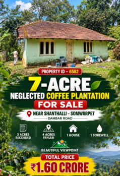 7 ACRES NEGLECTED COEFFE PLANTATION FOR SALE
