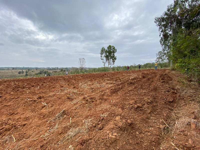 4.5 acre agri land for sale near Hagare Hassan
