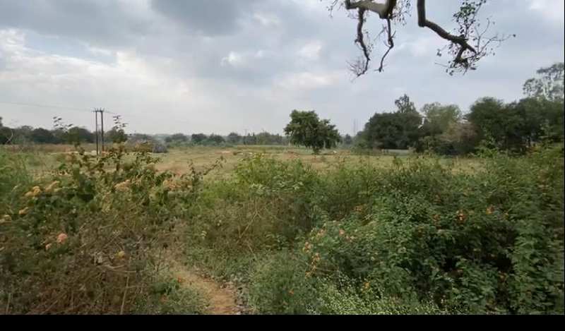 1 Acre 10 Gunta Agri Land For Sale In Hassan