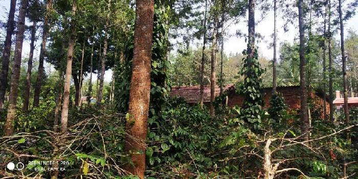 8 acre coffee estate for sale in chikkamagaluru