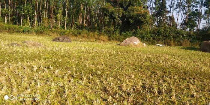 1.10 acre paddy field for sale in chikkamagaluru