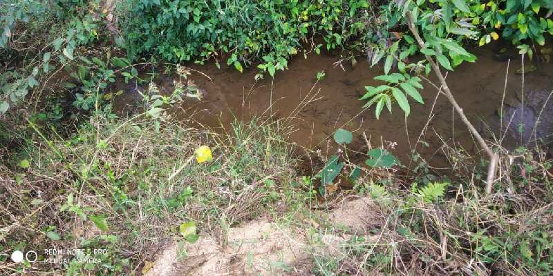 1.10 acre paddy field for sale in chikkamagaluru