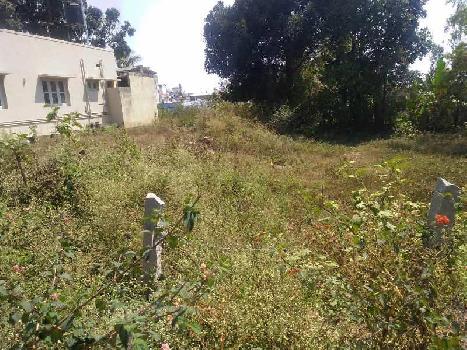 24391 sq ft. Commercial land for sale in heart of city chikkamagaluru.