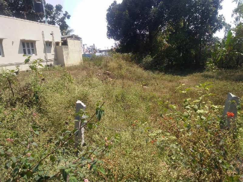 24391 sq ft. Commercial land for sale in heart of city chikkamagaluru.