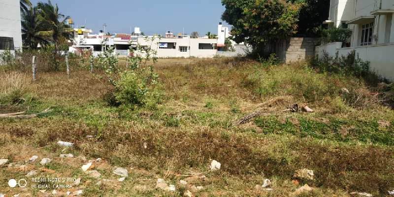 50*62  East facing site for sale in Chikkamagaluru
