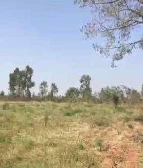 4 acres 20guntas farm land for sale in Bangalore rural  Doddaballapura