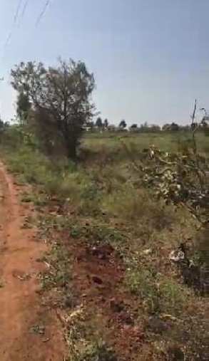 4 acres 20guntas farm land for sale in Bangalore rural  Doddaballapura